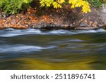 Golden autumn colors reflect on wild and scenic McKenzie River in Oregon.