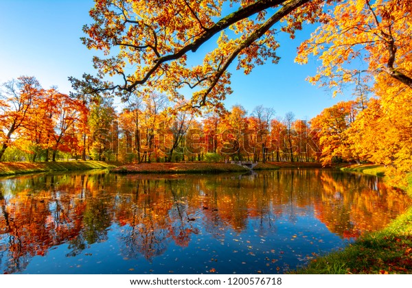 Golden Autumn Fall Alexander Park Tsarskoe Stock Photo 1200576718 ...