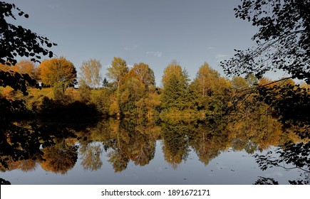 Golden Autumn Treeline With His Beautiful Water Reflection. Stunning Concept Of Nature.