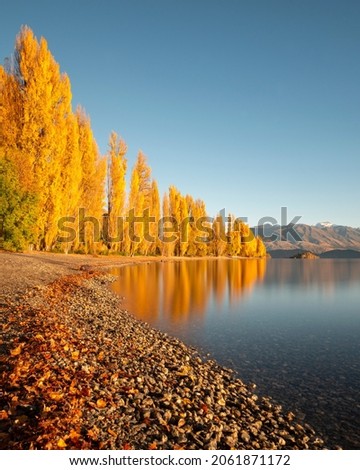 Golden autumn trees on the shore of Lake Wanaka, South Island. Vertical format.