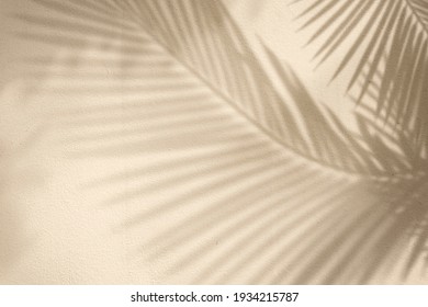 Arrière-plan doré avec palmier