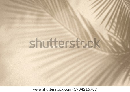 Golden background with palm tree Stockfoto © 