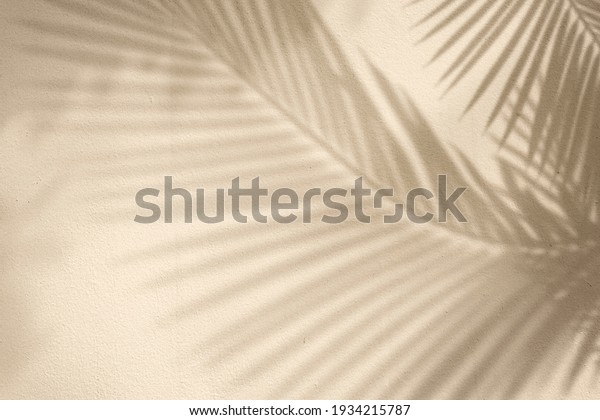 Golden background with palm
tree