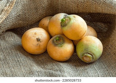 Golden ball turnips, ancient vegetable on a hessian background