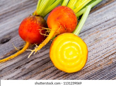 golden beets freshly harvested  raw on rustic wood background