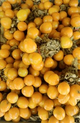 The Golden Berry Goes By Many Names, Including Cape Gooseberry, Poha Berry, Husk Cherry, Pichu Berry, Aguaymanto, Topotopo, Inca Berry, And Peruvian Groundcherry. At A Shop In Bharat, India.