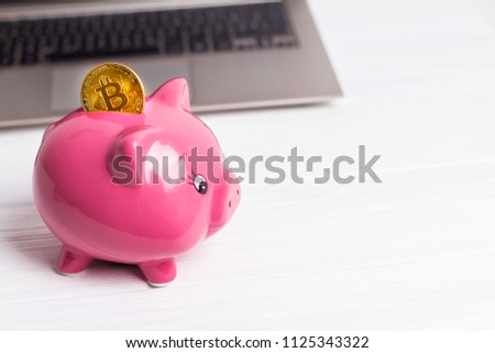 Golden Bitcoin On Piggy Bank Money Stock Photo Edit Now 1125343322 - golden bitcoin on the piggy bank money box with a computer on background cryptocurrency investment