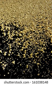 Golden Bubbles Of Champagne Texture, For Background