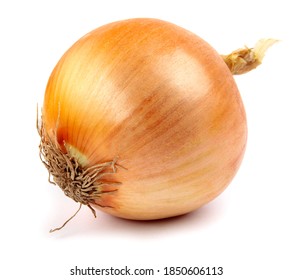 The golden bulb of the ripe onion is isolated on a white background.