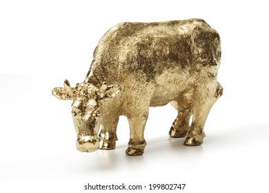 Golden Calf, Close-up