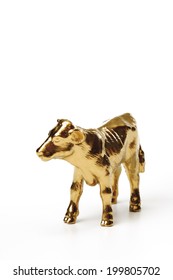 Golden Calf, Close-up