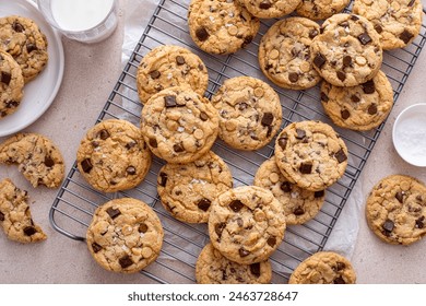 Golden chocolate chip cookies cooling on a wire rack next to a glass of milk - Powered by Shutterstock