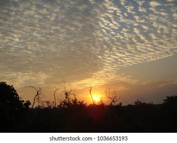 The Golden Cloud