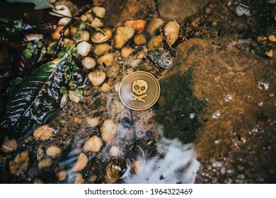 Golden Coin - Pirate Challenge Coin