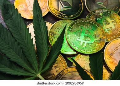 Golden coins with crypto currency symbol and cannabis leaves.
