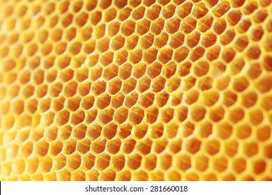 Golden Color Honey Comb As Background.