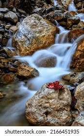 Golden Creek In Ramsau. Berchtesgaden Alps