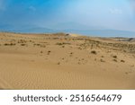 Golden desert dunes with sparse vegetation are illuminated by sunbeams breaking through a dramatic sky, creating a serene and awe-inspiring landscape with distant mountains. 