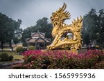 golden dragon in vietnamese garden in imperial city of hue