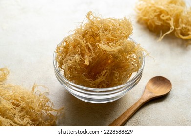 Golden dried Sea Moss, healthy food supplement rich in minerals and vitamins used for nutrition and health - Shutterstock ID 2228588629