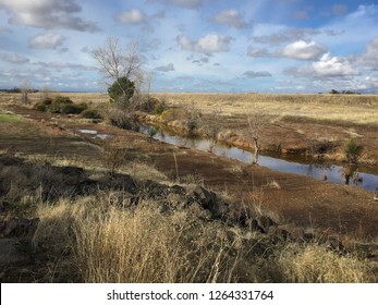 Golden, Dry, Brush And Small River In Sparse Northern, California Landscape