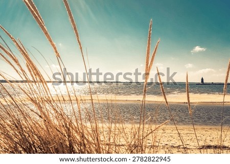 Golden dune grass frames a sunlit view of the Atlantic coast at Cape Henlopen State Park with a distant lighthouse.
