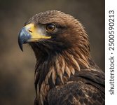 Golden Eagle is a breathtaking depiction of one of the most majestic birds of prey. This image captures the Golden Eagle in mid-flight, its powerful wings fully extended and its keen eyes sharply focu