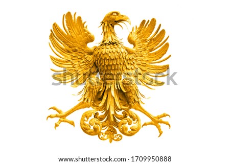Golden Eagle isolated on a white background.