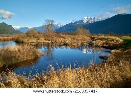  Golden Ears Mountain Reflection. Golden Ears Mountain reflected in Pitt-Addington marsh. Pitt Meadows, BC, Canada.

                              