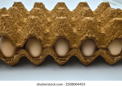 a golden egg carton with several eggs in it - Powered by Shutterstock