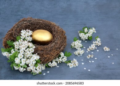 Golden Egg In A Natural Birds Nest With Spring Hawthorn Blossom. Savings And Investment Concept For Retirement, Long Term Financial Goals. On Mottled Blue Background.