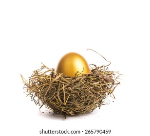 Golden Egg With Nest