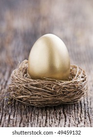 Golden Egg In Nest Close Up Shoot