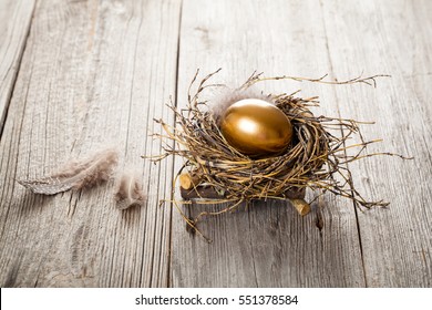 Golden egg in nest on dark vintage wooden background