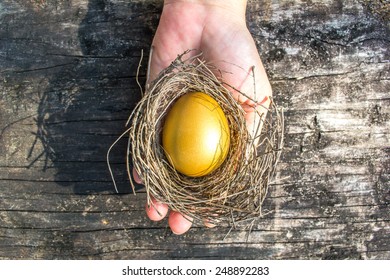  A golden egg opportunity concept of wealth and a chance to be rich - Powered by Shutterstock