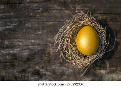 Golden Egg Opportunity Concept Of Wealth And A Chance To Be Rich 