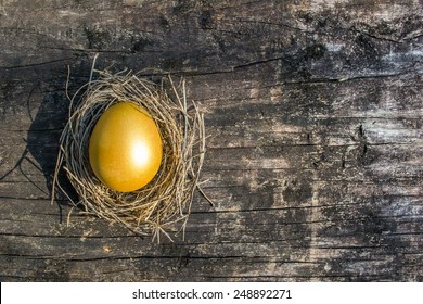 Golden Egg Opportunity With Retirement Planning Concept
