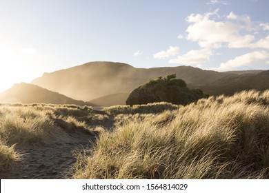 The Golden Evening Light Of The Sunset Shines Across The Sea Spray Mist And Long Grass At The Untouched Anawhata Beach In Auckland, New Zealand. A Black Sand Path Leads To The Seaside Mountains.