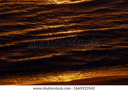 Liquid Gold Ocean Waves