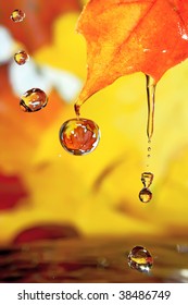 Golden fall drops.