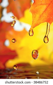 Golden fall drops.