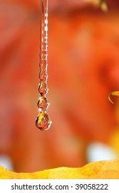 Golden fall drops.