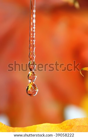 Golden fall drops.
