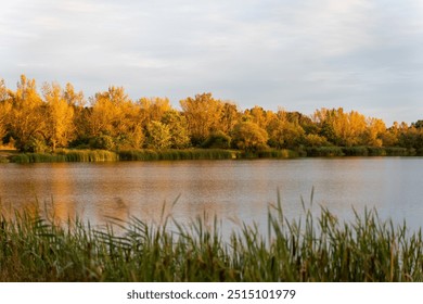 Golden fall trees are reflected in the tranquil lake during sunset. Beautiful fall landscape in the countryside. . High quality photo - Powered by Shutterstock