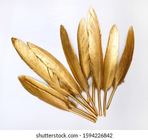 Golden Feather On A White Background