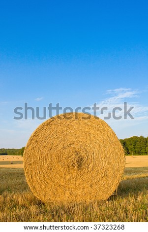 Similar – Image, Stock Photo straw bale Straw