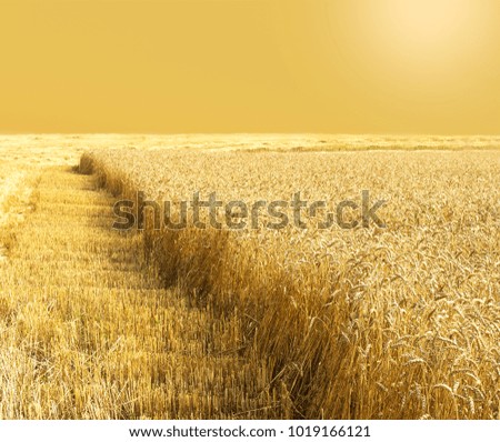 Similar – Image, Stock Photo summer evening Clouds