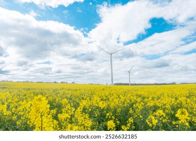 Golden fields of blooming flowers beneath a vivid blue sky with wind turbines standing tall in the distance - Powered by Shutterstock