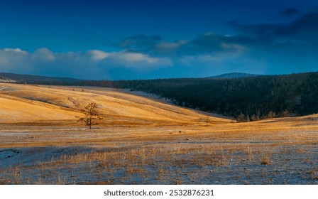 Golden fields meet a serene forest under a moody sky, with a lone tree standing. - Powered by Shutterstock