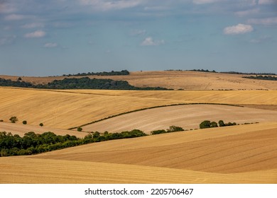 Golden Fields In The South Downs, During A Hot, Dry Summer